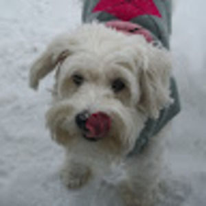 Meet your Posher, Mindy